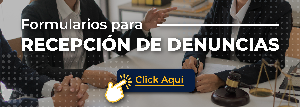 02_formulario_denuncias.png